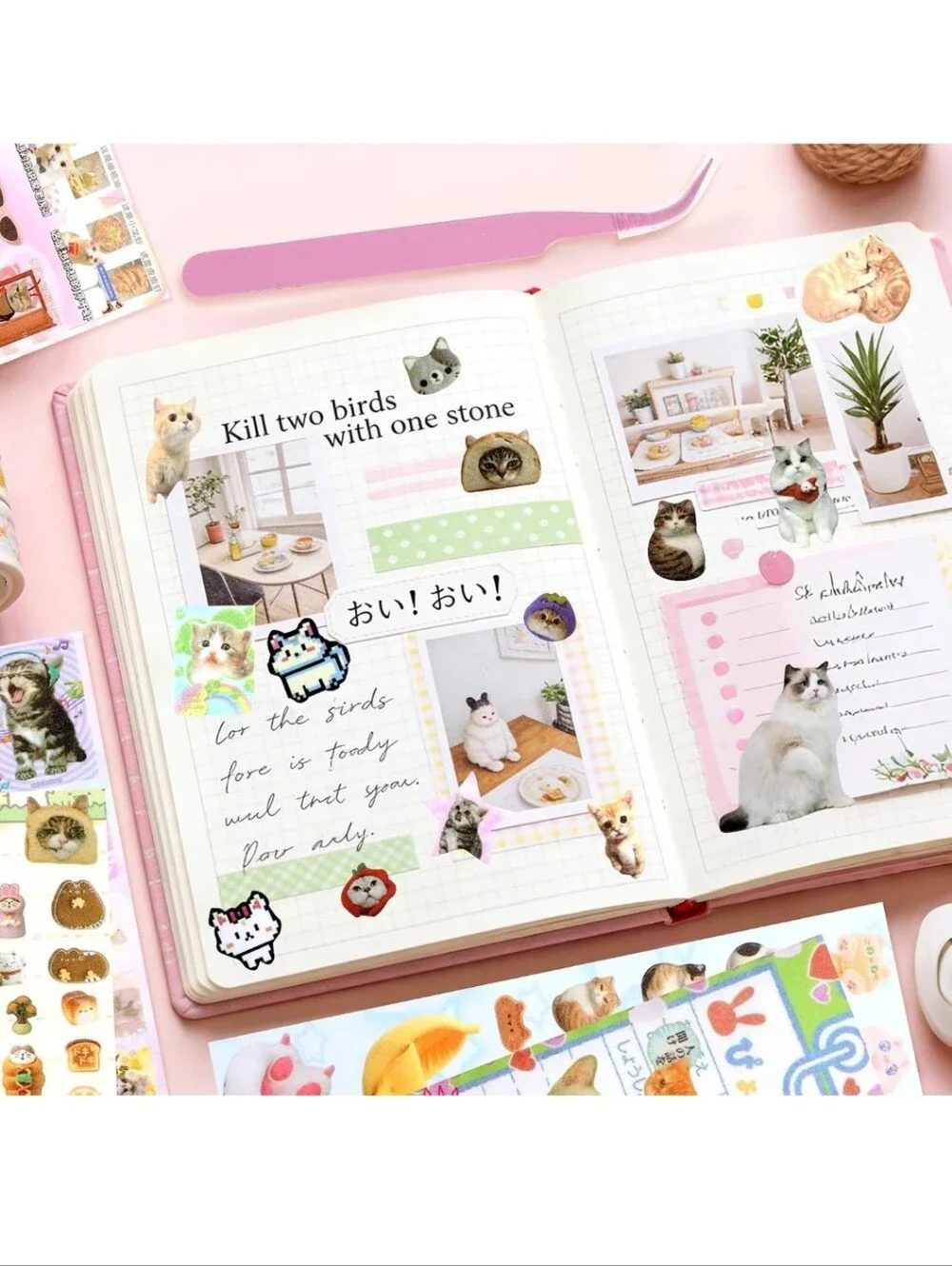 Cute Cats Sticker Collection - Pink